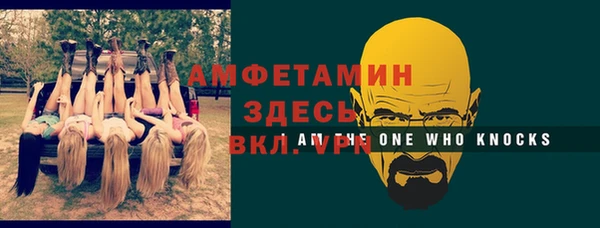 индика Протвино