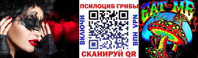 Псилоцибиновые грибы ЛСД  купить наркоту  Шахунья 